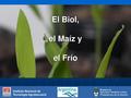 El Biol,el Maíz yel Frío.pdf