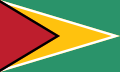 Flag of Guyana.png