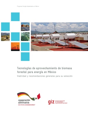 GIZ Tecnologías biomasa forestal 2015.pdf