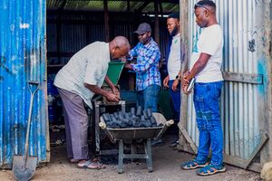 LIG finished briquettes.jpg