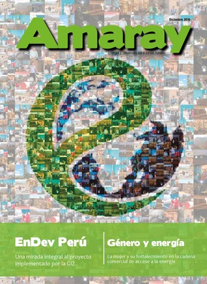 Amaray Ed. N 11 Spanish.pdf