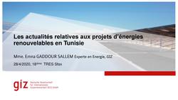 Actualités relatives aux projets d'ERs en Tunisie et état d'avancement des activités du projet RMS