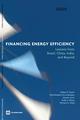 Financing Energy Effciency Brazil China India.pdf