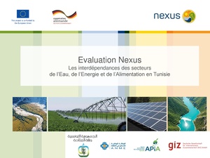 WEF Nexus Validation Présentation Nexus GFA 181030.pdf
