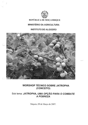 PT-Jatropha, uma opcao para o combate a pobreza-Ministerio da Agricultura.pdf
