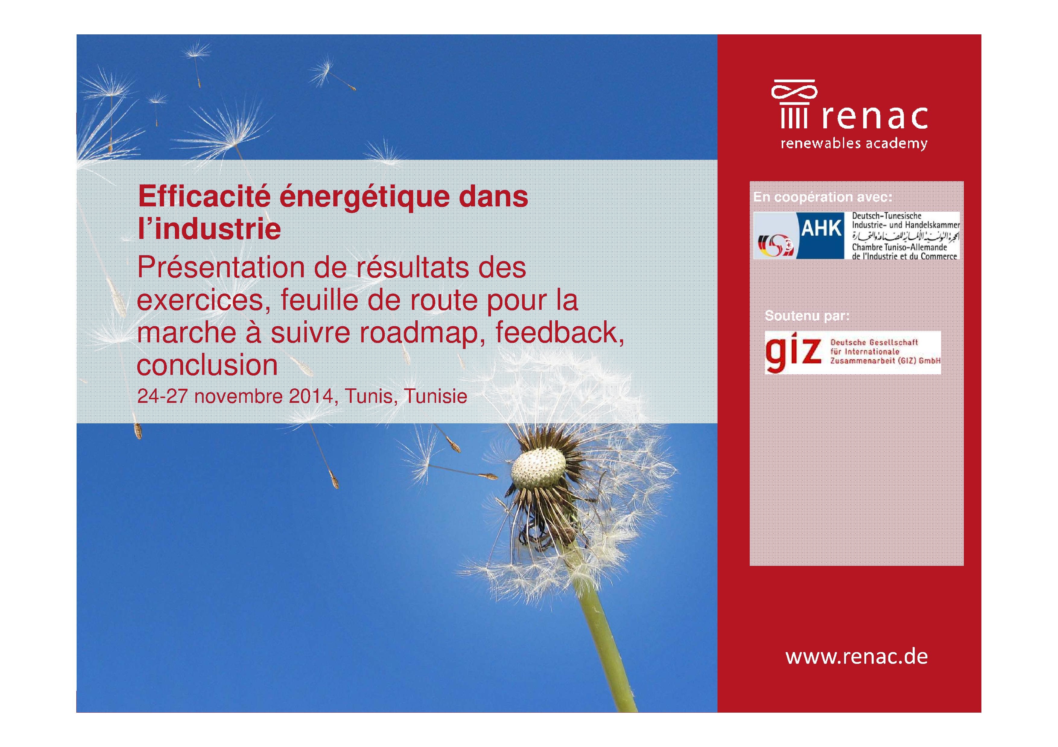 (16) Energy efficiency in industrial process: financing instruments