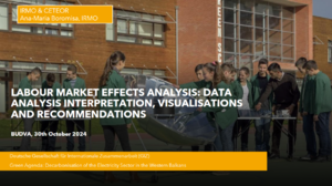 Boromisa ppt image.png