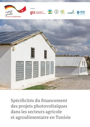 ETUDE FINANCEMENT PV AGRI031219.pdf