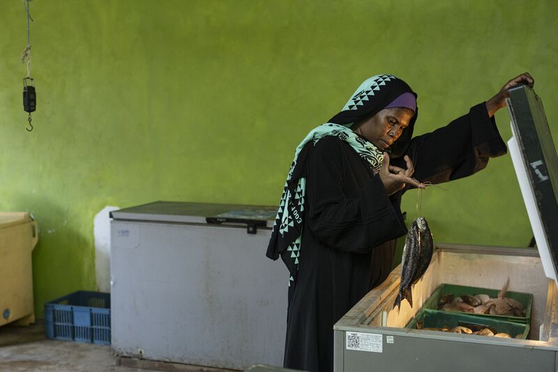 G3 1210 Tima Ali, Fish dealer in Kiwayu Lamu checking on her fish in the coolers, captured on 27th June 2025 in Kiwayu Island, Lamu County credits United Pictures Ltd & WWF Kenya.jpg