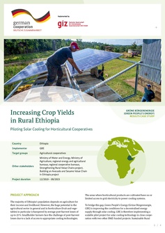 Increasing Crop Yields in Rural Ethiopia GBE Case Study GIZ 2023.pdf