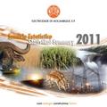 PT&EN-Sumario Estatistico 2011-Electricidade de Mocambique.pdf
