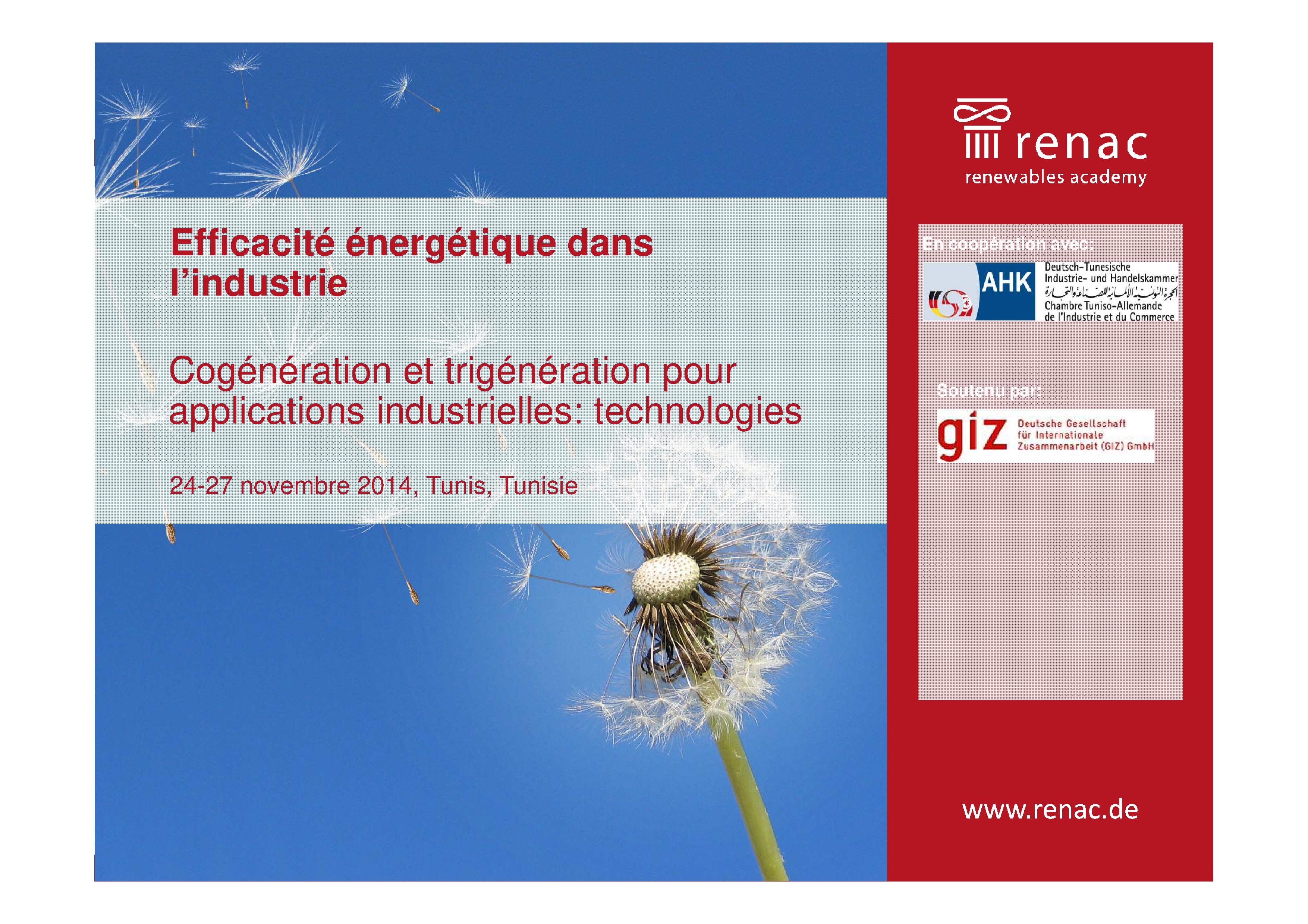 (9) Cogeneration and trigeneration for industrial applications: technologies