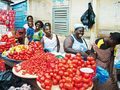 Tomato Market in Ghana- Happy women.jpg