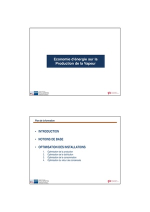 Economie d'énergie Sur la Production de Vapeur.pdf