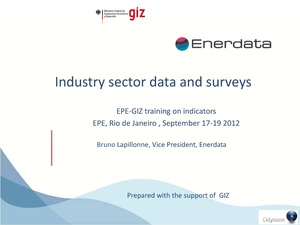 Industry Sector Data and Surveys - Training on Indicators (2012).pdf