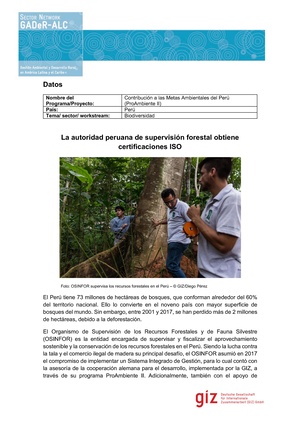 P-PERU-autoridad-ISO.pdf