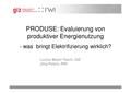 GIZ Im Abseits der Netze 012011 TW 3c PRODUSE Evaluierung Mayer-Tasch.pdf