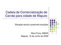 PT-Cadeia de Comercialização de Carvão para cidade de Maputo-Nilza Puna, INBAR.pdf