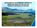 PT-Mapeamento da Biomassa Lenhosa e Indice de Area Foliar (IAF) na Reserva Nacional do Niassa-Natasha S. Ribeiro;et.al..pdf