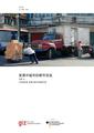 Urban Freight in Developing Cities (cn).pdf