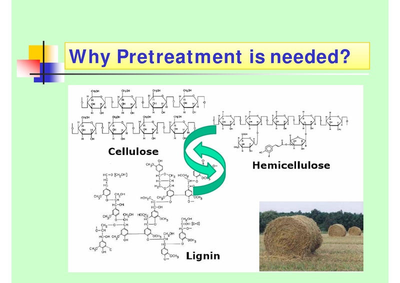 File:Biogas Production from Crop Straw through Anaerobic Digestion.pdf