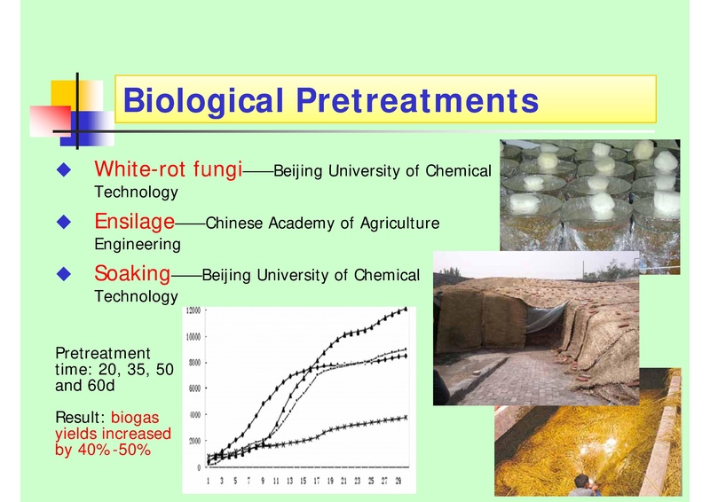 File:Biogas Production from Crop Straw through Anaerobic Digestion.pdf