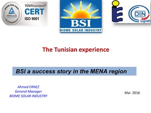 BSI a Success Story in the MENA Region.pdf