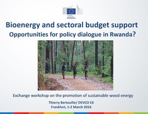 Bioenergy and Sectoral Budget Support - Opportunities for Policy Dialogue in Rwanda.pdf