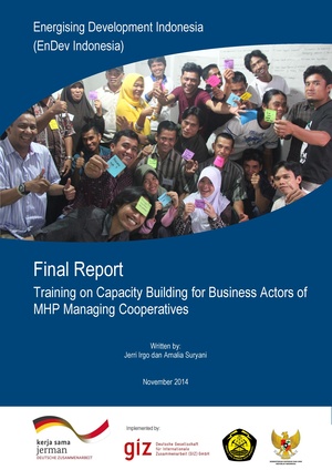 Business Capacity Development Final Report (GIZ, 2014).pdf