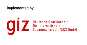 GIZ logo.jpg
