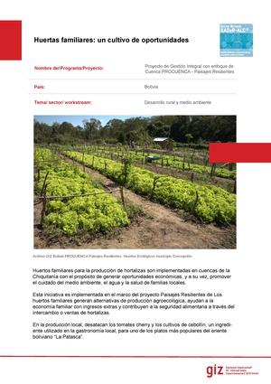 Huertas familiares- un cultivo de oportunidades.pdf
