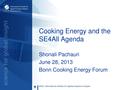 Cooking Energy and the SE4All Agenda Dr Shonali Pachauri Bonn 2013.pdf