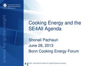 Cooking Energy and the SE4All Agenda Dr Shonali Pachauri Bonn 2013.pdf