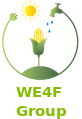 Icon - WE4F group.svg
