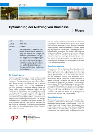 Optimierung der Nutzung von Biomasse.pdf