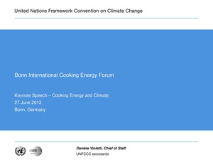 Cooking Energy and Climate D Violetti UNFCCC Bonn 2013.pdf