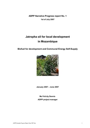 EN-Jatropha oil for local development in Mozambique-Felicity Dennis.pdf