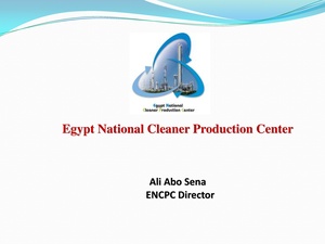 Egypt National Cleaner Production Center.pdf