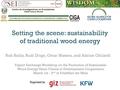 Setting the Scene - Sustainability of Traditional Wood Energy.pdf