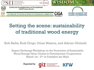 Setting the Scene - Sustainability of Traditional Wood Energy.pdf