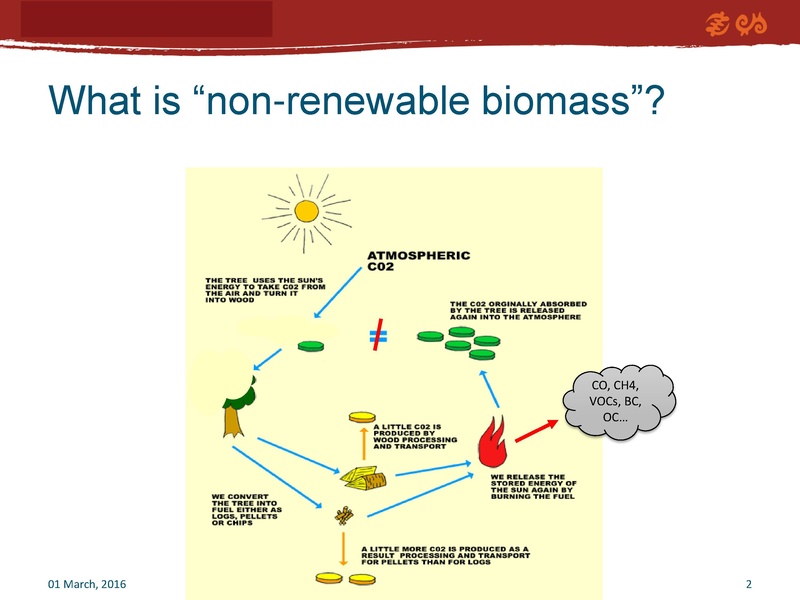 File:Setting the Scene - Sustainability of Traditional Wood Energy.pdf