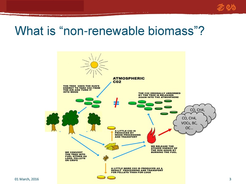 File:Setting the Scene - Sustainability of Traditional Wood Energy.pdf