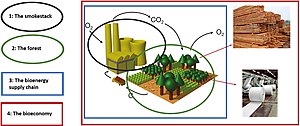 Bioenergy system boundaries.jpg