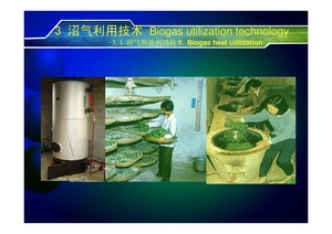 Technology for High Value Use of Biogas & Effluent 2.pdf