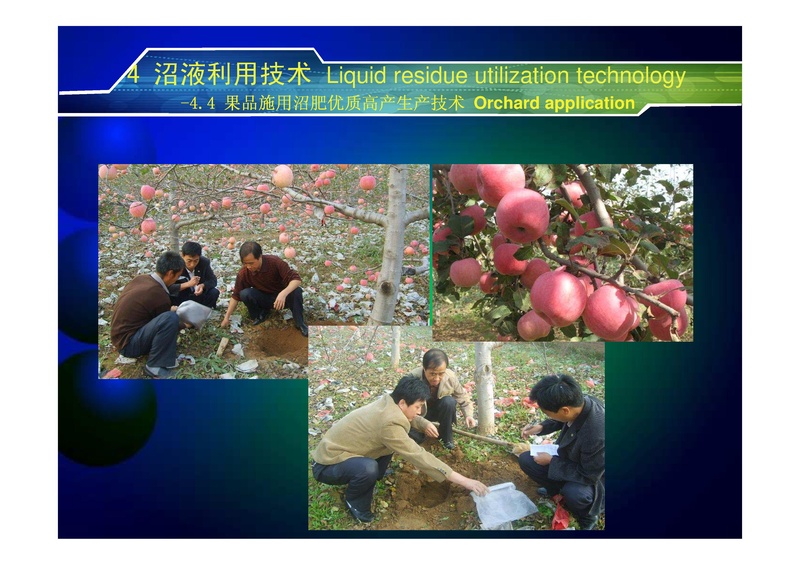 File:Technology for High Value Use of Biogas & Effluent 2.pdf