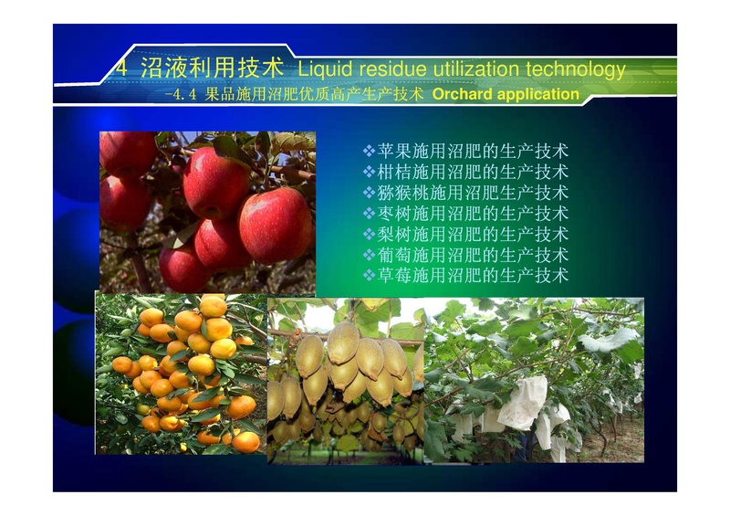 File:Technology for High Value Use of Biogas & Effluent 2.pdf