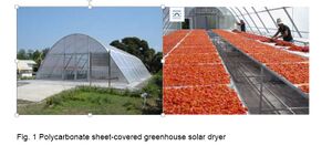 Development and Dissemination of Polycarbonate Sheet-covered Greenhouse Solardryer for Small-scaled Dried Food Industries in Thailand.JPG