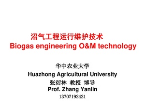 Biogas Engineering O&M Technology.pdf