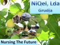 EN-Nursing The Future-Niqel, Lda.pdf