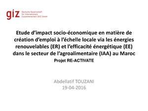Etude D’impact Socio-Économique En Matière De Création D’emploi À L’échelle Locale Via Les Énergies Renouvelables (Er) Et L’efficacité Énergétique (Ee) Dans Le Secteur De L’agroalimentaire (Iaa) Au Maroc.Pdf